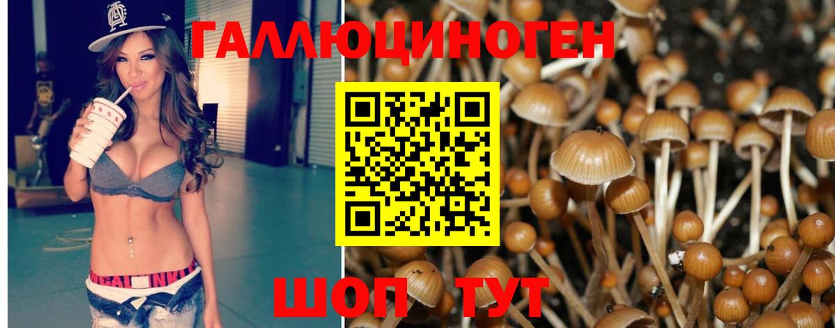Коряжма  хочу   Вход с VPN  Галлюциногенные грибы Magic Shrooms  Псилоцибиновые грибы мицелий 
